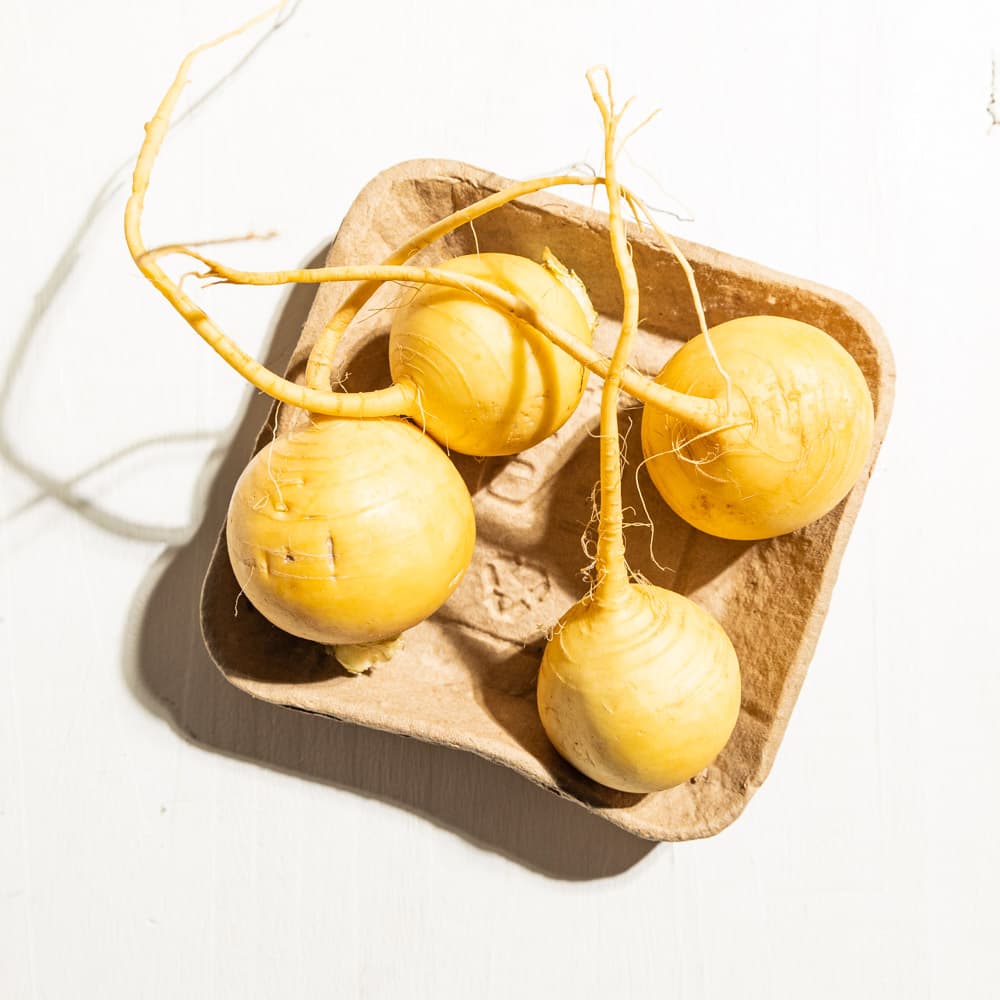 Rabanete Amarelo Orgânico (500g - 700g) - Raízs