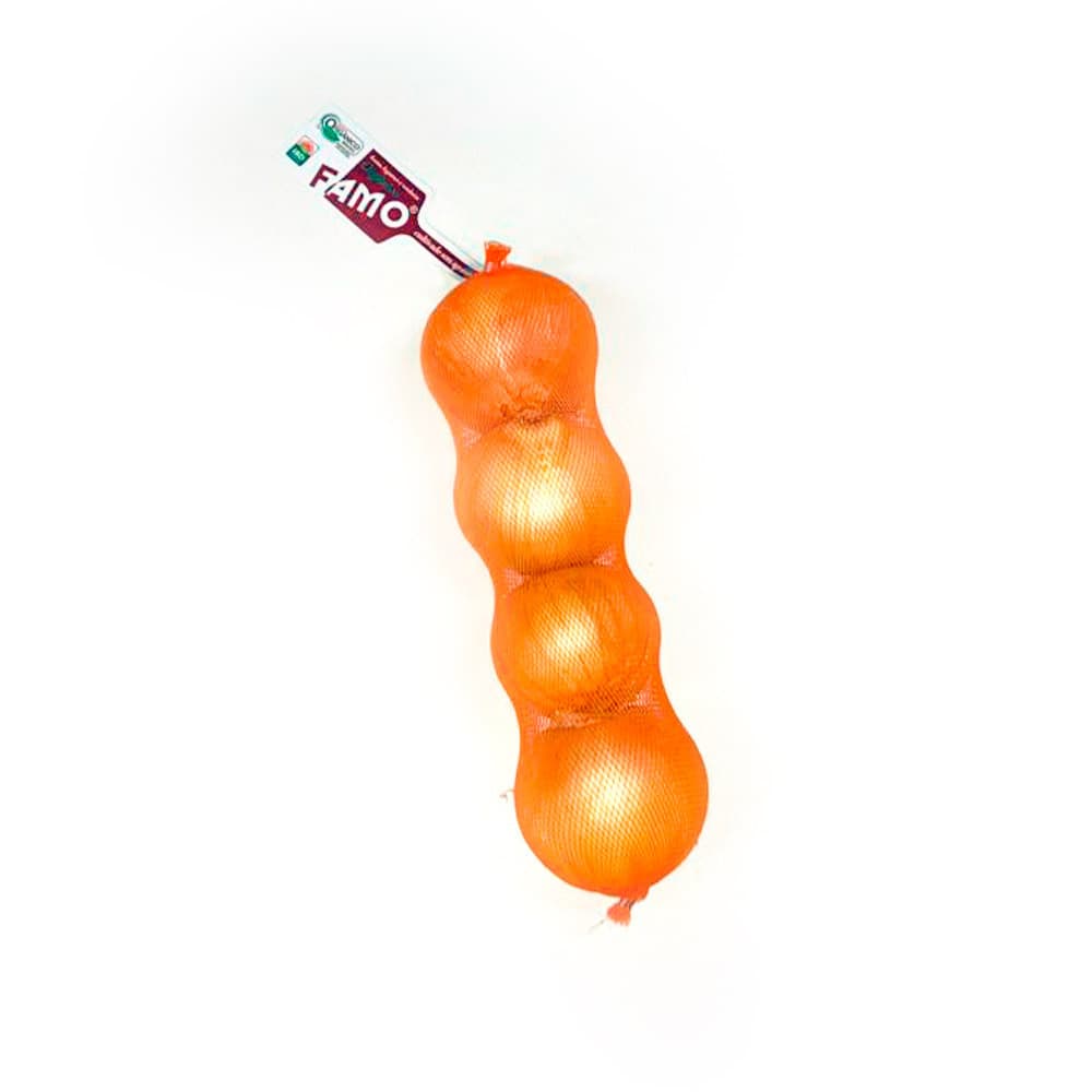 Cebola Orgânica Unidade 600g - Famo