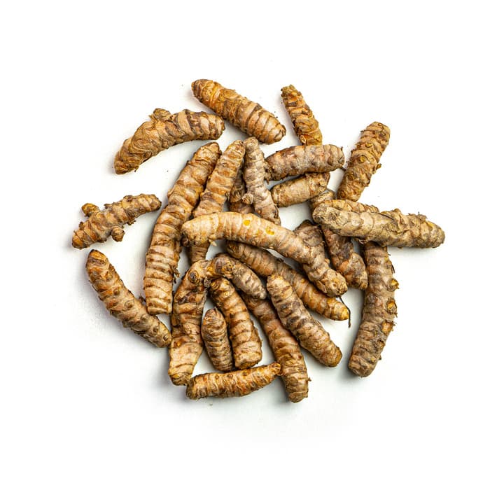 Açafrão (Cúrcuma) Orgânico 100g - Raízs