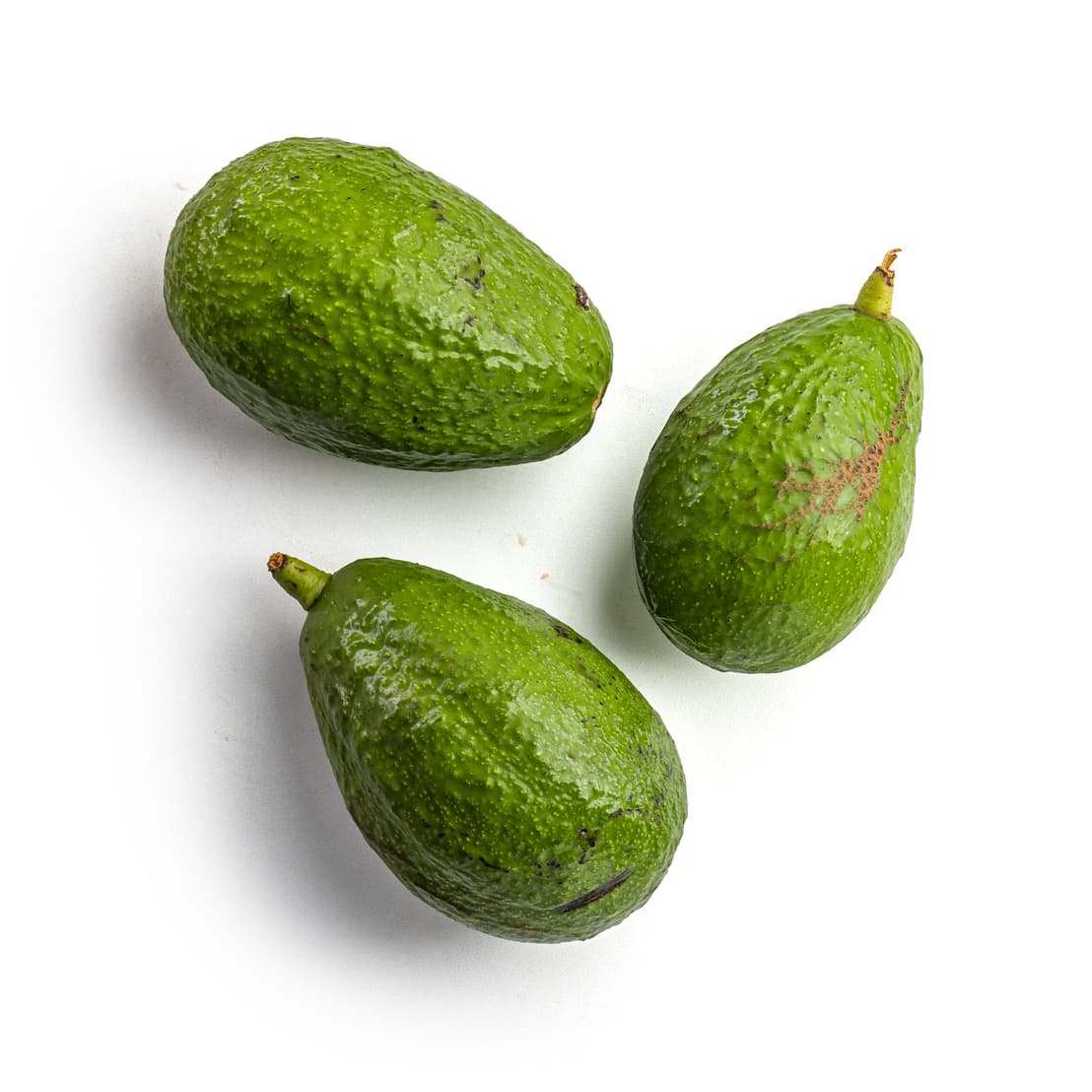 Avocado Orgânico (500g - 600g) - Raízs