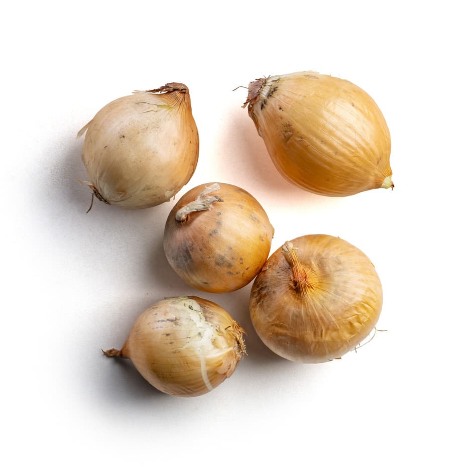 Cebola Orgânica 550g - Raízs