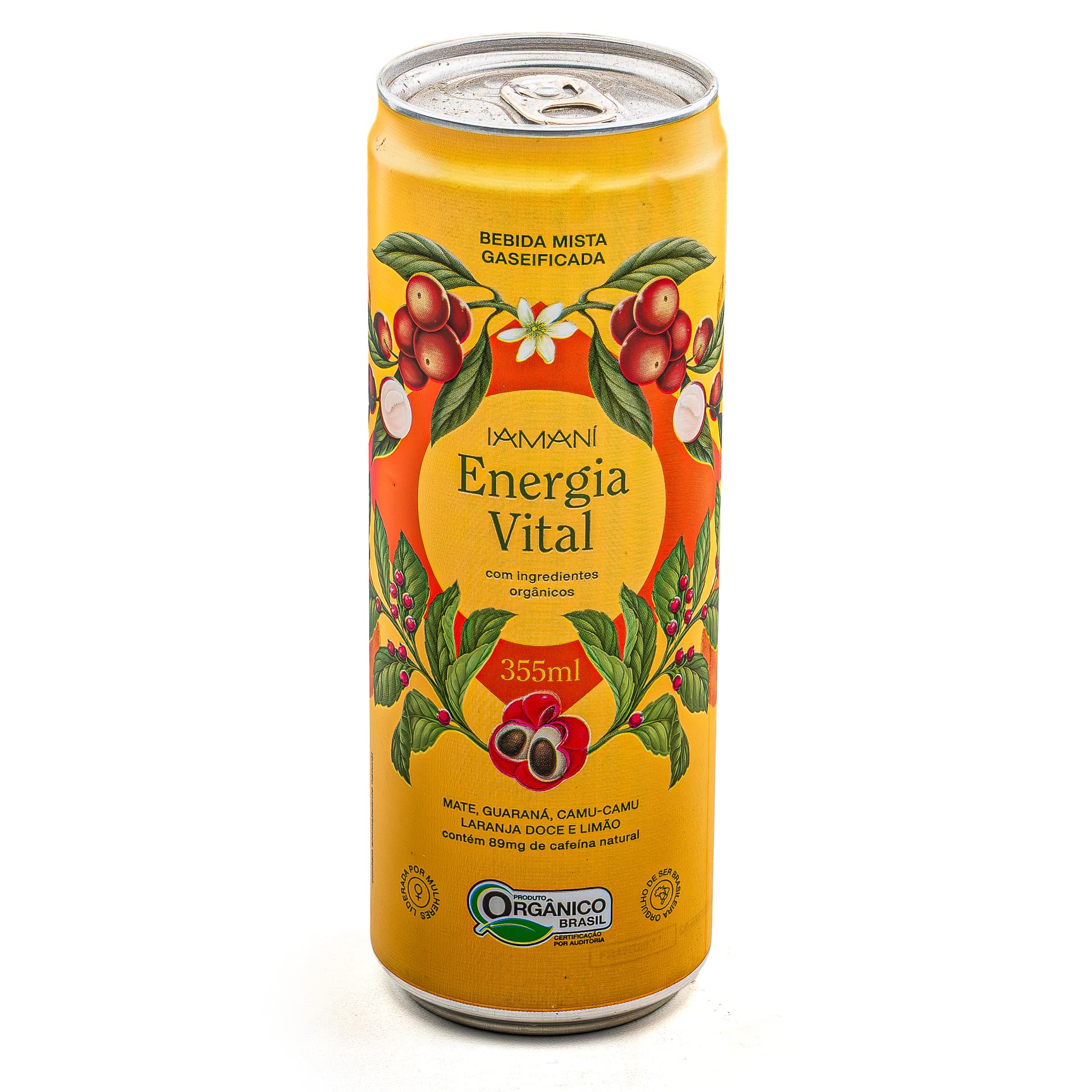 Chá Gaseificado Energia Vital Orgânico 355ml - Iamaní