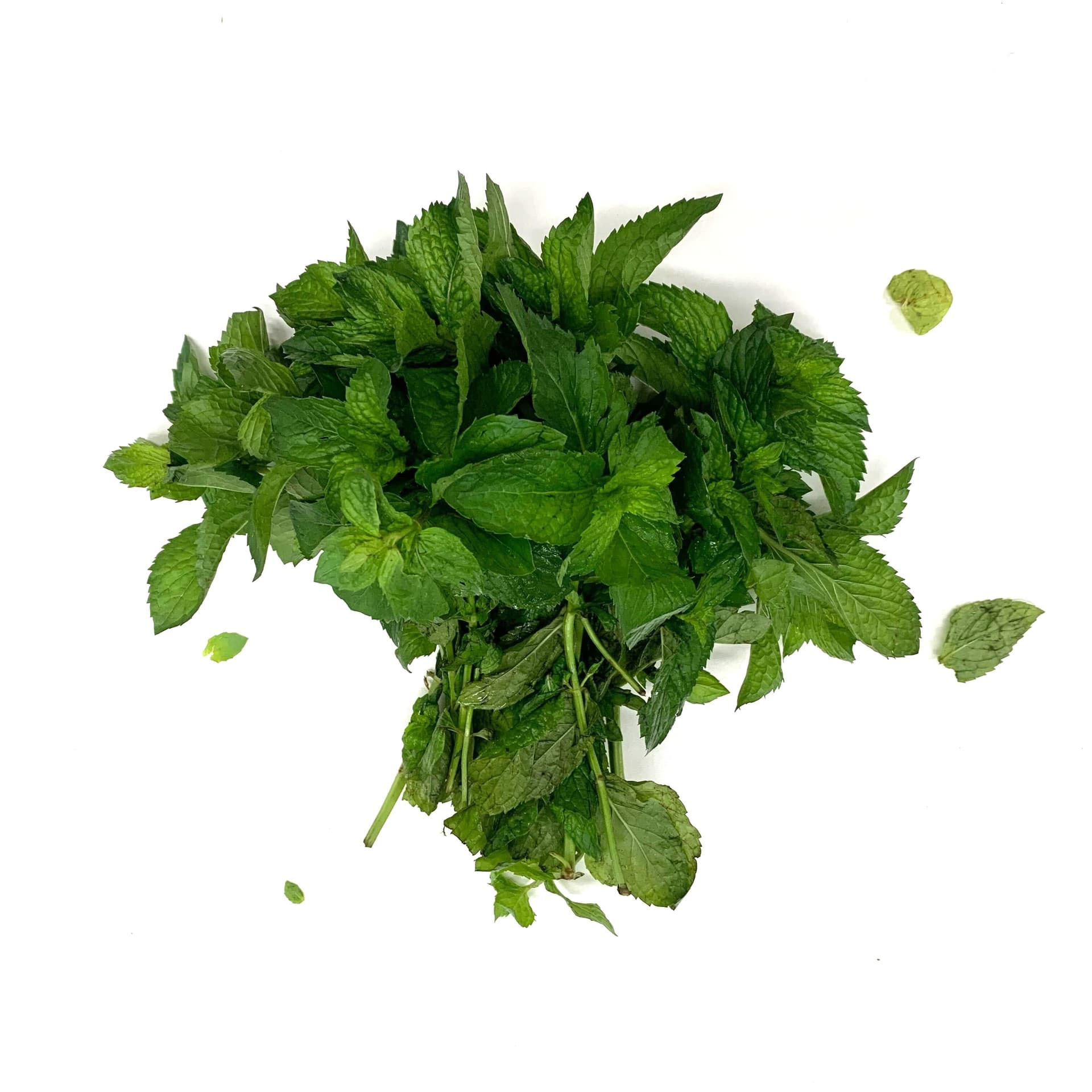 Hortelã Menta Orgânico Maço - Raízs