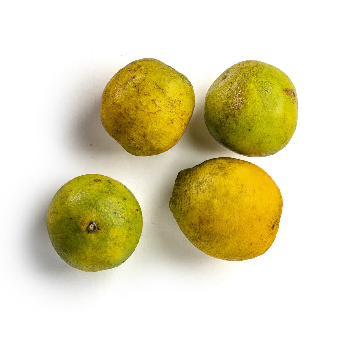 Laranja Pera Orgânica 850g - Raízs