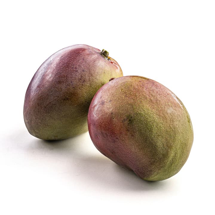 Manga Tommy Orgânica 800g - 1kg - Raízs