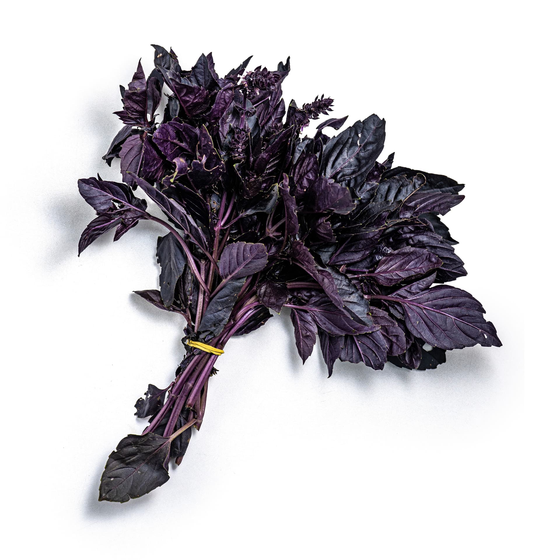 Manjericão Roxo Orgânico Maço - Raízs