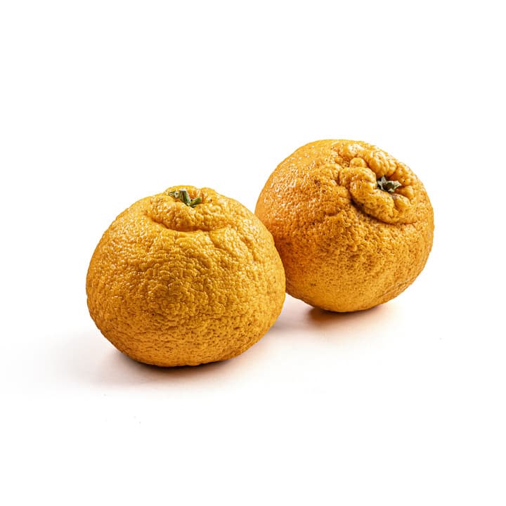 Mexerica Decopon Orgânica 600g - Raízs