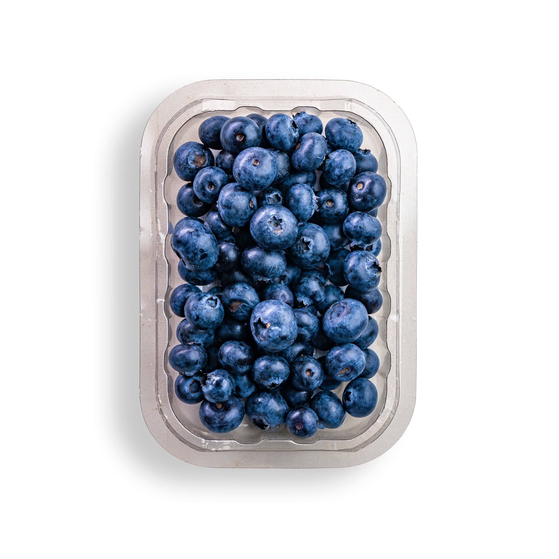 Mirtilo Orgânico 100g - Raízs