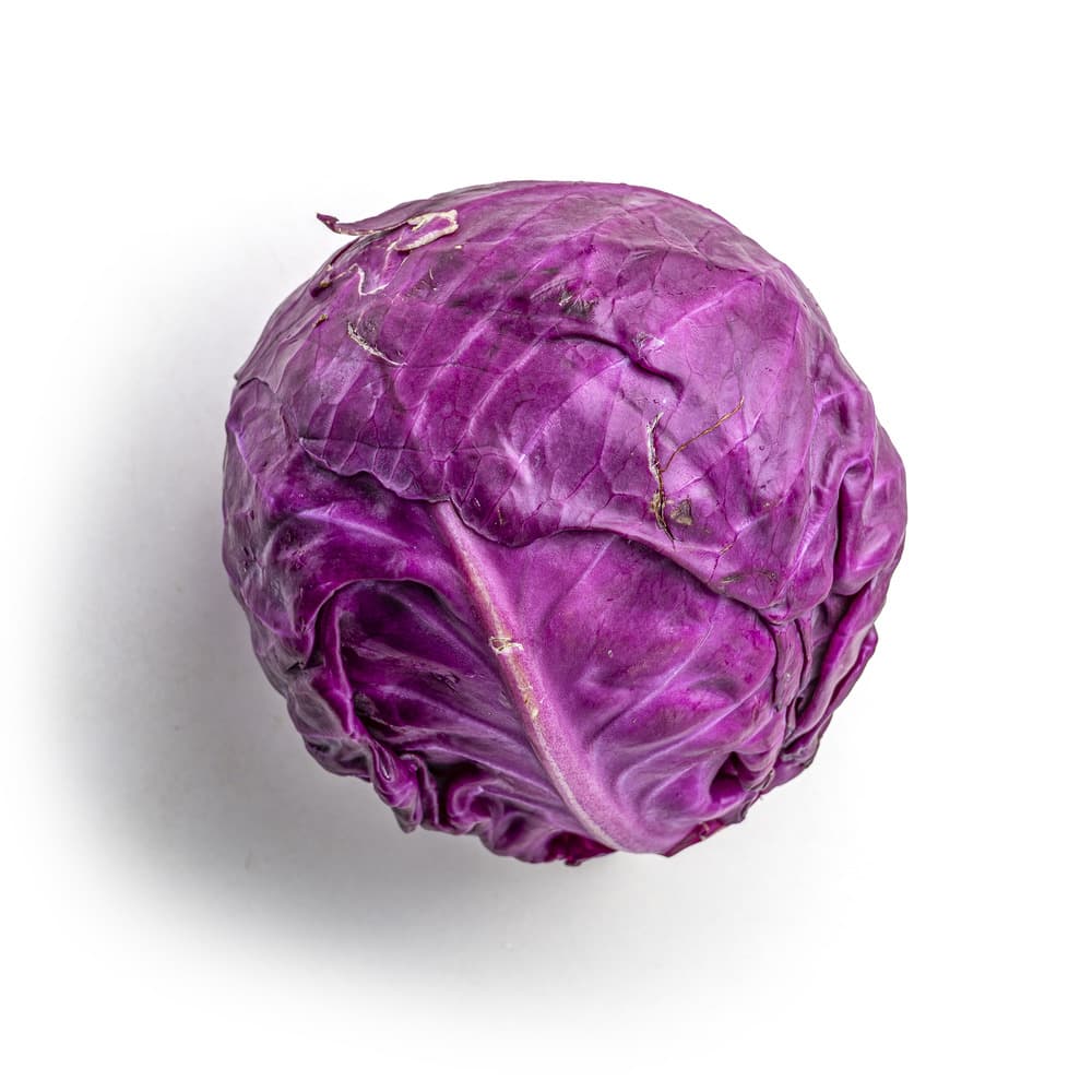 Repolho Roxo Orgânico (300g - 400g) - Raízs