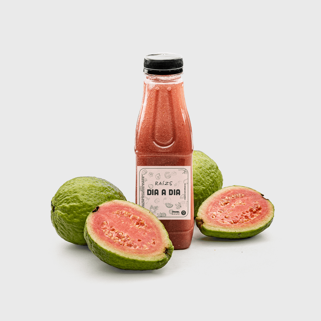 Suco de Goiaba Unidade 500ml