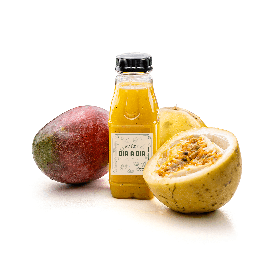 Suco de Manga com Maracujá 300ml