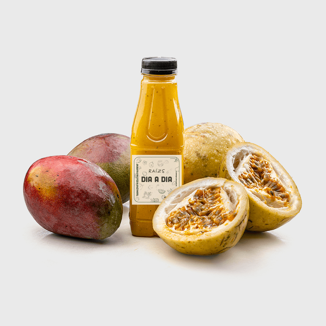 Suco de Manga com Maracujá Unidade 500ml