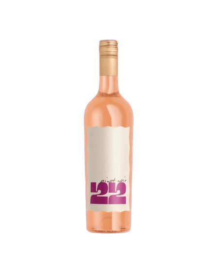 Vinho Pinot Noir Rosé 750ml - 22