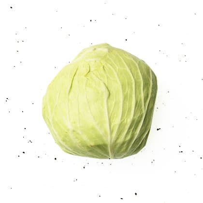 Repolho Liso Orgânico (300g - 450g) - Raízs