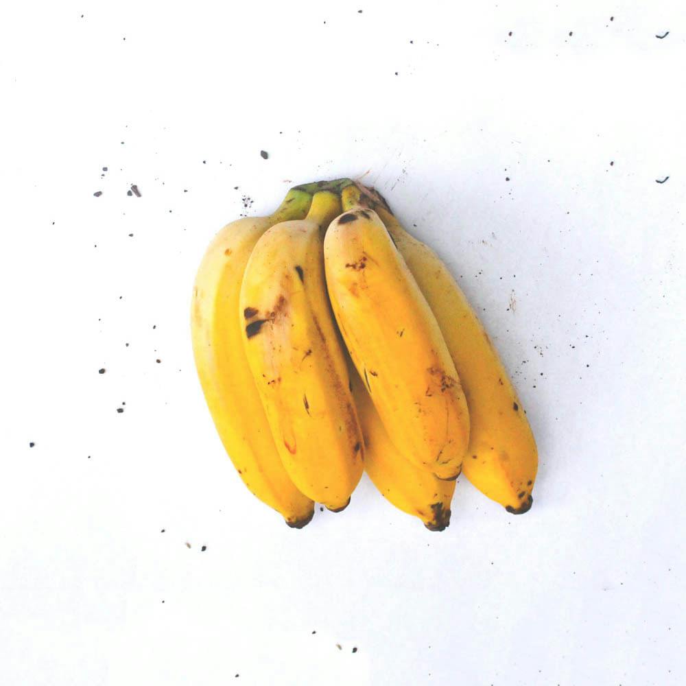 Banana Maçã Orgânica (600g - 800g) - Raízs