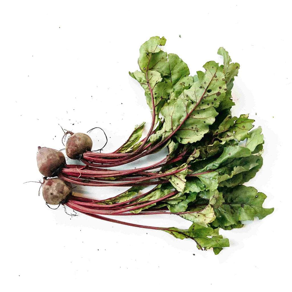 Beterraba Orgânica (500g - 700g) - Raízs