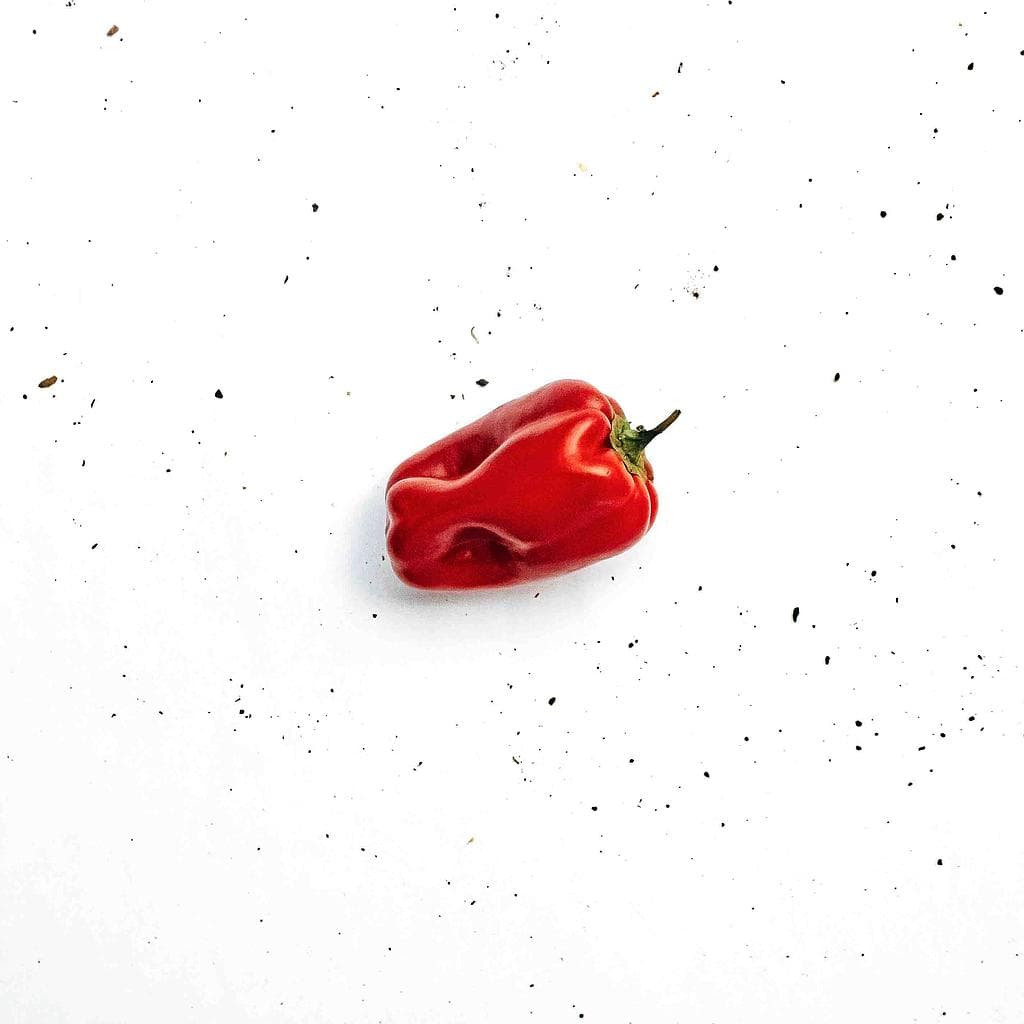 Pimentão Vermelho Orgânico(400g - 500g) - Raízs