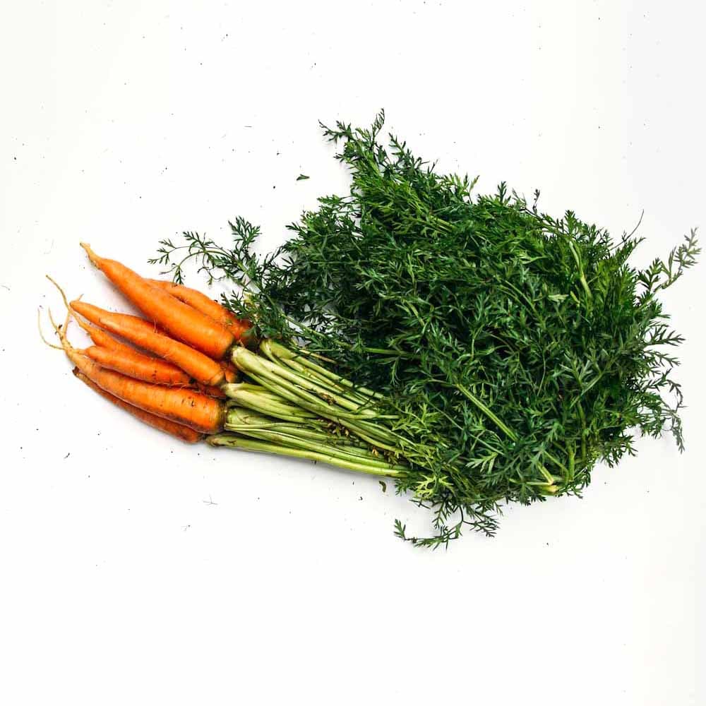 Cenoura Orgânica (500g - 600g) - Raízs