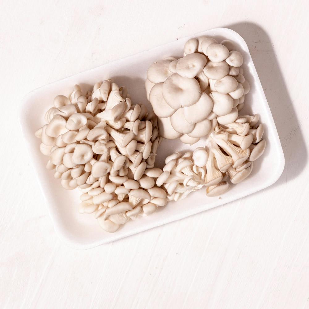 Cogumelo Shimeji Branco Sustentável 200g - Da Chão